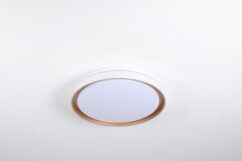 Camelion LBS-8004 (LED светильник 70Вт, 3000К/4000К/6500К)