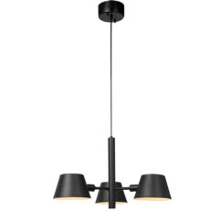 Camelion PL-576-3 C02  Светильник подвесной серия Райдо