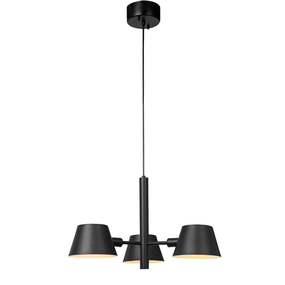 Camelion PL-576-3 C02 Светильник подвесной серия Райдо